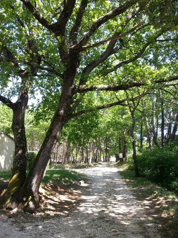 Camping Parc Saint Sauvayre 瓦纳斯 外观 照片